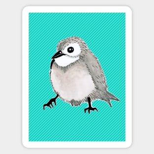 Cute Bird - Aqua & Green Striped Background Sticker